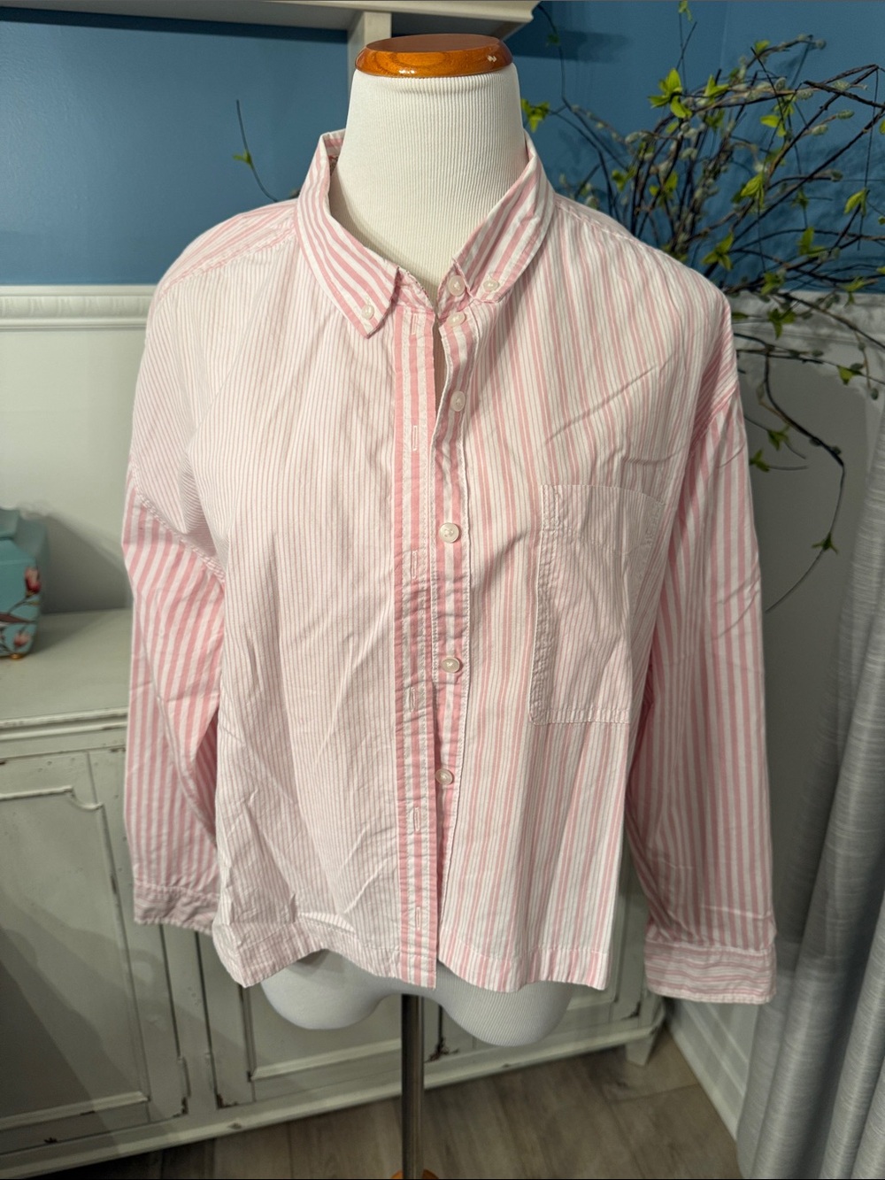 American Eagle Outfitters Pink and White cropped Striped Button-Down Shirt